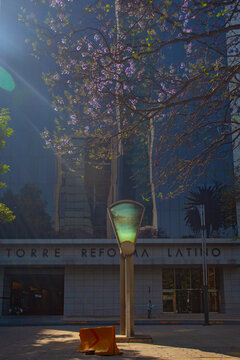 Mexico City, Mexico  - March 14, 2022 :  Paseo de la Reforma avenue with tall modern buildings and blooming jacaranda trees marking the beginning of the spring in Mexico city.