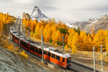Gornergrat Railway Train, Matterhorn Mountain and Yellow Golden Larches in Autumn. Fall Colors. Swiss Alps. Zermatt, Valais, Switzerland