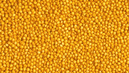 A large quantity of yellow grains or seeds densely packed together.