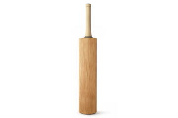 Wooden cricket bat standing vertically, presenting professional sports equipment for batting and playing action