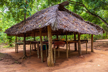 Rustic thatched hut on red earth surrounded by lush green jungle foliage.