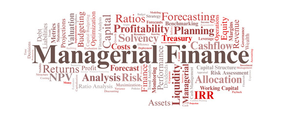 Fototapeta premium Managerial Finance Word Cloud. Core Terms In Internal Financial Decisions, Capital Planning, And Performance Optimization.