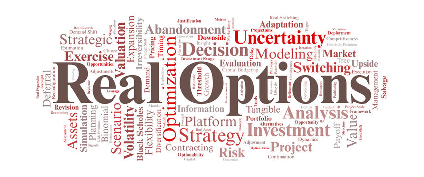 Real Options Word Cloud. Key Terms on Strategic Flexibility and Investment Decisions