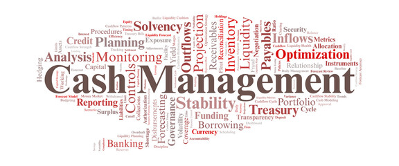 Fototapeta premium Cash Management Word Cloud. Core Terms on Liquidity, Treasury Operations, and Financial Control