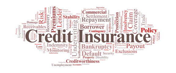 Credit Insurance Word Cloud. Key Concepts in Consumer and Trade Credit Protection