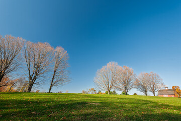 Scenic view of bare maple trees and an old barn in Connecticut
