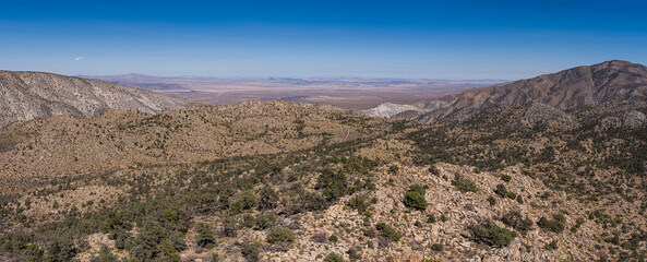 Mojave Desert Wilderness near Big Bear California