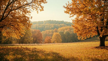 Fototapeta premium Autumn landscape with trees and hills in the background.