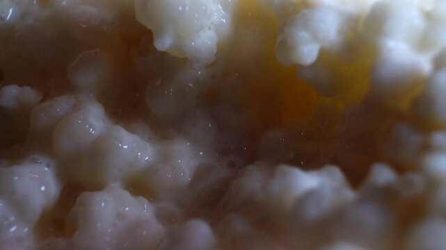 Macro shot of milk kefir grains on a black spoon showing probiotic fermentation texture.