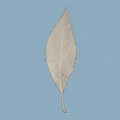 Elegant narrow leaf rendered in a halftone dotted texture with a retro graphic feel. Ideal for posters, botanical prints, contemporary design, and minimalist collage art.