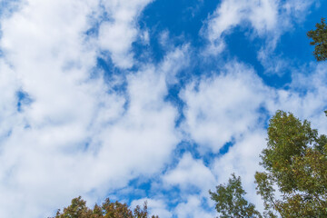 秋の空と雲と木々04