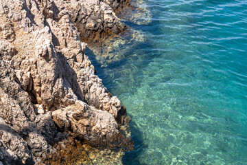 Sheep graze on a rock near the sea, sheep graze on a rock in the mountains
