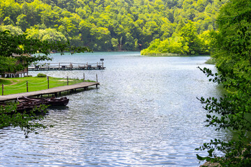 Blue water in a forest lake surrounded by green trees, summer landscape