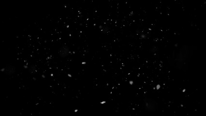 Winter freeze motion of white snow coming down, isolated on black background. Snowfall texture overlays.