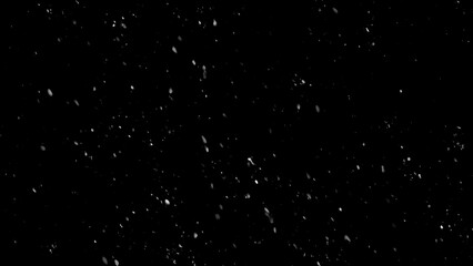 Fototapeta premium Winter freeze motion of white snow coming down, isolated on black background. Snowfall texture overlays.