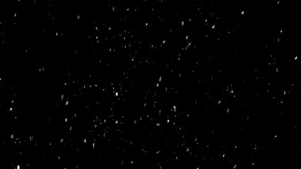 Winter freeze motion of white snow coming down, isolated on black background. Snowfall texture overlays.