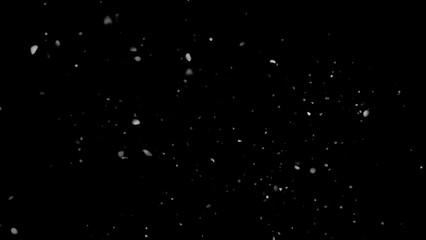 Winter freeze motion of white snow coming down, isolated on black background. Snowfall texture overlays.