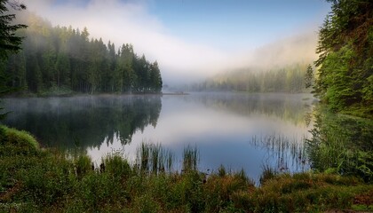a tranquil forest lake shrouded in mist on a foggy morning the water is still and reflects the trees and sky the air is thick with moisture