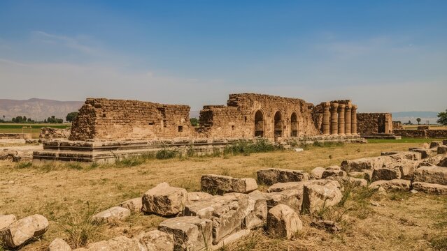 Ancient ruins with stone structures and columns in an open field under a clear blue sky.