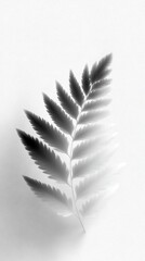 A close-up of a fern leaf in grayscale, set against a textured white background. The leaf's details are highlighted with a gradient effect.