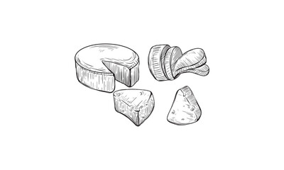 Sketch cheese. Art compositions with cheeses. Whole, half and slices different types, fresh farm milk products, delicious maasdam, gouda and parmesan, hand drawn food, vector illustration