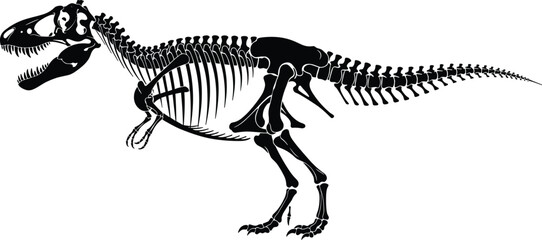 Tyrannosaurus Rex dinosaur skeleton silhouette vector illustration, black prehistoric fossil bone structure isolated on white background for science and museum design. © Samol