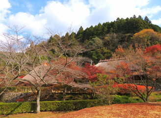 重源の郷（山口県）の紅葉3