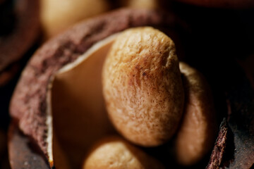 Macro shot of mild roasted coffee beans on hazelnut shell
