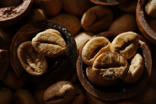 Macro shot of mild roasted coffee beans on hazelnut shell - Powered by Adobe