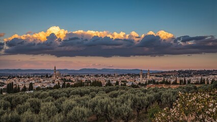 A landscape view of a cityscape with clouds overhead and greenery in the foreground during sunset.