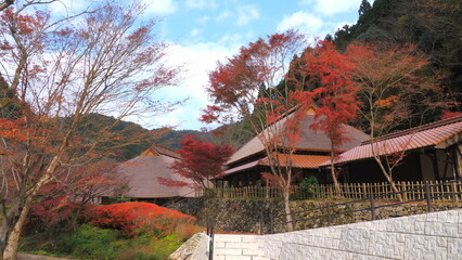 重源の郷（山口県）の紅葉8
