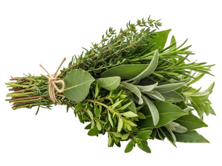 Herb bundle mixed aromatic greens isolated bright white background