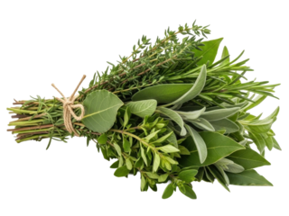 Herb bundle mixed aromatic greens isolated bright white background