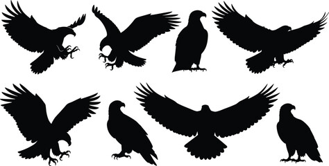 Eagle silhouette vector collection, flying bird of prey icons, black hawk symbols, and predator animal isolated on white background for nature logo design.