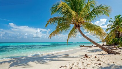 Tropical beach scene with palm trees, white sand, and turquoise ocean under a partly cloudy sky.