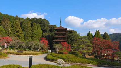 瑠璃光寺（山口県）の紅葉5