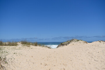 Sand Dunes by the Ocean &ndash; Coastal Landscape with Sea and Horizon (Florian&oacute;polis - Brazil)