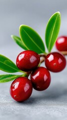 A close-up shot of ripe, red cranberries on a stem with vibrant green leaves, set against a smooth, light gray surface with soft lighting.