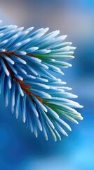Close-up of a pine branch covered in frost against a blurred blue background. The image highlights the texture and color of the winter scene.