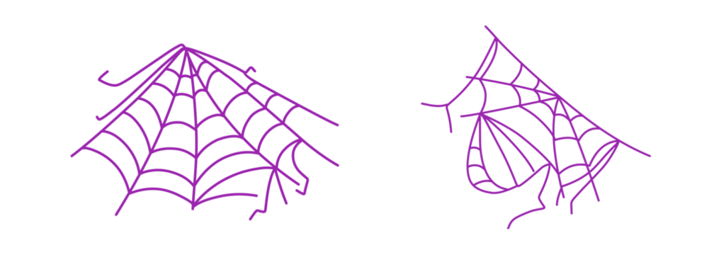 purple spider web on white background