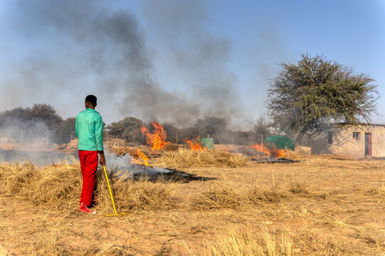 African worker performing controlled burn using traditional knowledge on dry farm field for land management and firebreak