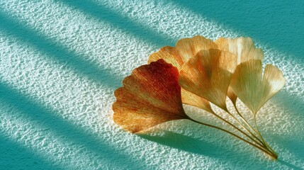 Close-up of ginkgo leaves arranged on a textured, turquoise surface, with sunlight creating shadows.