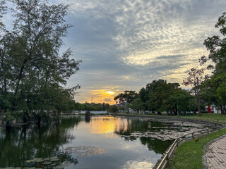 sunset in the park