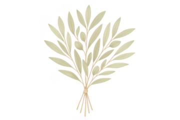 Watercolor olive branch bouquet illustration on transparent background