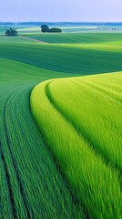 A vibrant landscape featuring rolling green fields, trees, and a winding path, bathed in natural light.