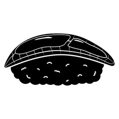 unagi sushi nigiri illustration