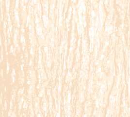 Tree bark texture