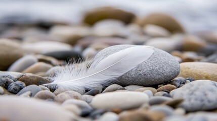 A delicate white feather lies on a collection of smooth, rounded stones on a beach. The background is softly blurred, suggesting a calm, natural environment wit