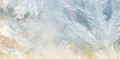 Christmas greeting card with fir tree branches and bokeh lights. Banner design