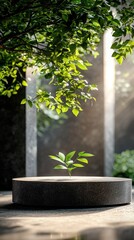 A small, vibrant green plant sprouts from a dark, circular pedestal. Sunlight streams through lush green foliage and architectural elements, creating a serene a